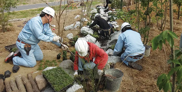 造園インターンシップの現場の様子