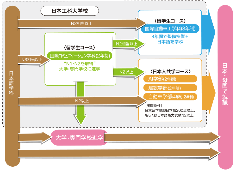 入学後の進路の図