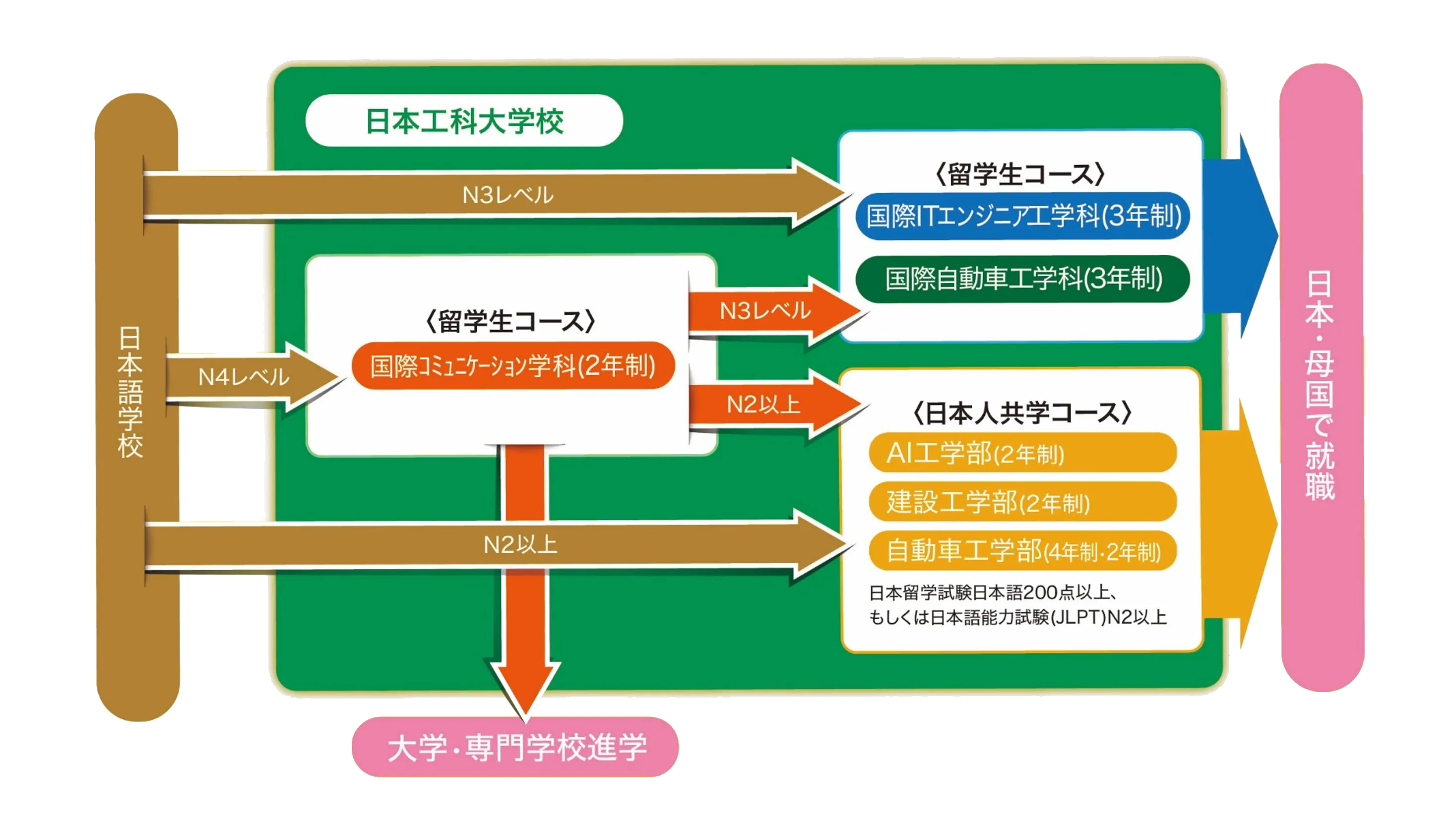 就職や進学の流れ